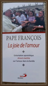 Livre du pape François